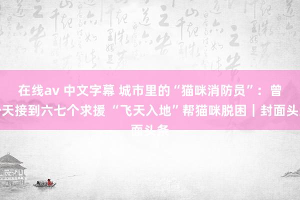 在线av 中文字幕 城市里的“猫咪消防员”：曾一天接到六七个求援 “飞天入地”帮猫咪脱困｜封面头条