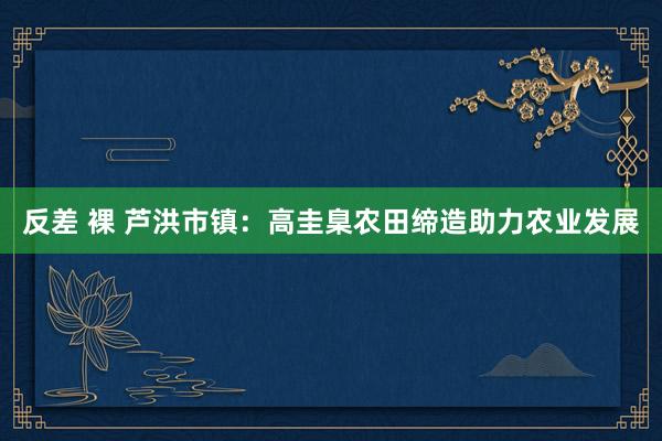 反差 裸 芦洪市镇：高圭臬农田缔造助力农业发展