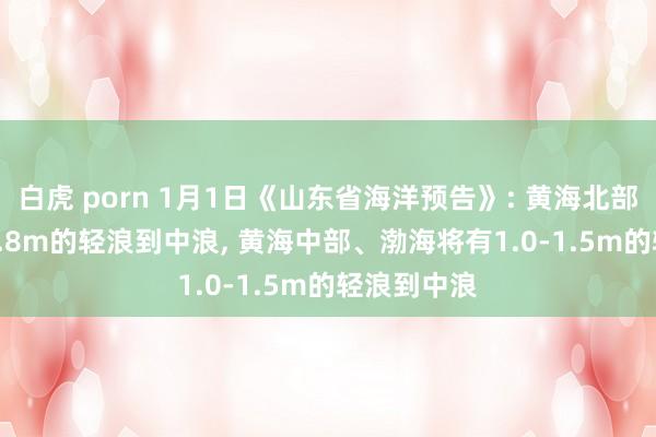 白虎 porn 1月1日《山东省海洋预告》: 黄海北部将有1.2-1.8m的轻浪到中浪, 黄海中部、渤海将有1.0-1.5m的轻浪到中浪