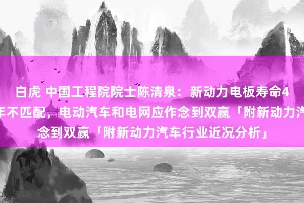 白虎 中国工程院院士陈清泉：新动力电板寿命4年跟电厂寿命30年不匹配，电动汽车和电网应作念到双赢「附新动力汽车行业近况分析」