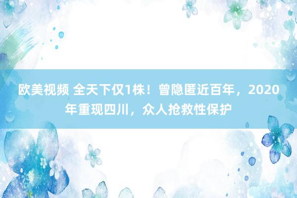 欧美视频 全天下仅1株！曾隐匿近百年，2020年重现四川，众人抢救性保护