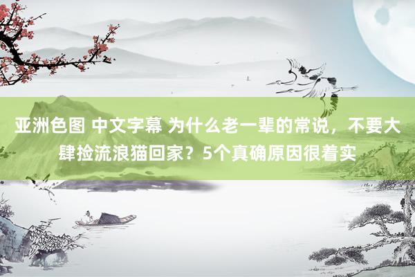 亚洲色图 中文字幕 为什么老一辈的常说，不要大肆捡流浪猫回家？5个真确原因很着实