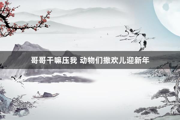 哥哥干嘛压我 动物们撒欢儿迎新年