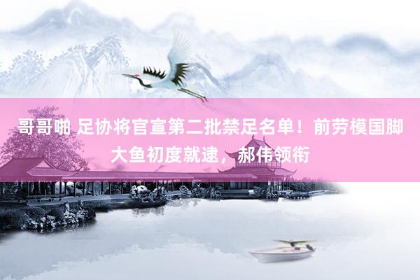 哥哥啪 足协将官宣第二批禁足名单！前劳模国脚大鱼初度就逮，郝伟领衔