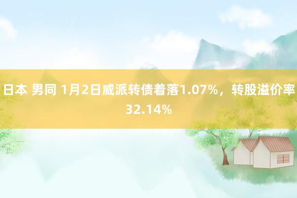 日本 男同 1月2日威派转债着落1.07%，转股溢价率32.14%