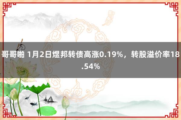 哥哥啪 1月2日煜邦转债高涨0.19%，转股溢价率18.54%