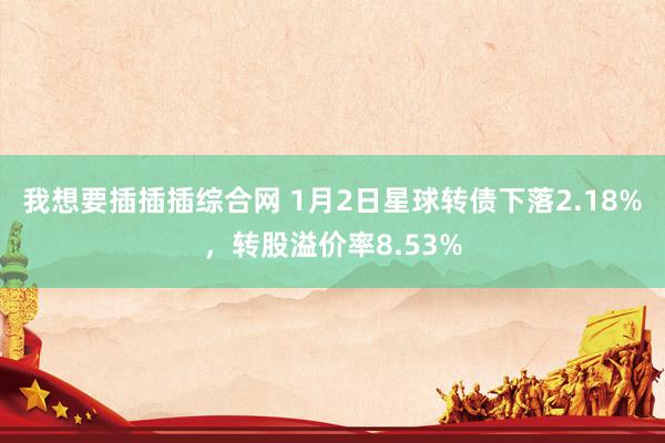 我想要插插插综合网 1月2日星球转债下落2.18%，转股溢价率8.53%