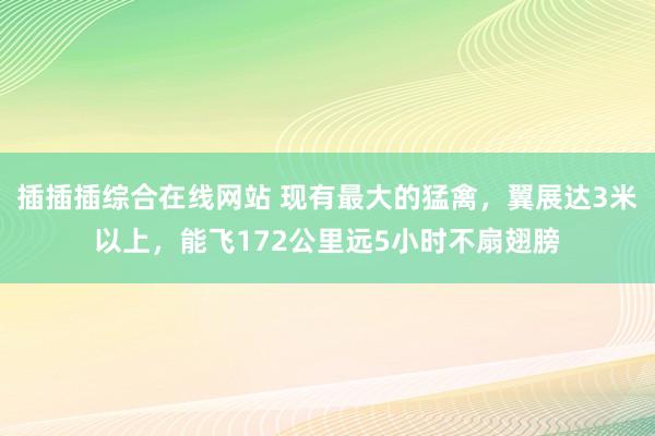 插插插综合在线网站 现有最大的猛禽，翼展达3米以上，能飞172公里远5小时不扇翅膀
