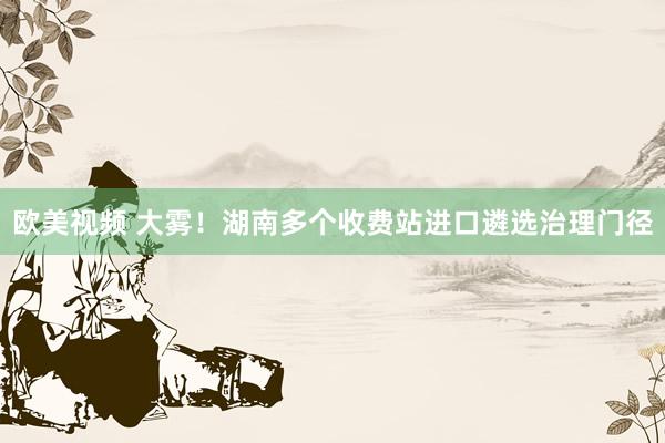 欧美视频 大雾！湖南多个收费站进口遴选治理门径