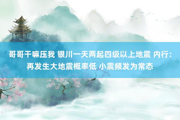 哥哥干嘛压我 银川一天两起四级以上地震 内行：再发生大地震概率低 小震频发为常态