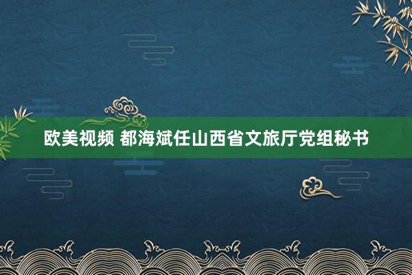 欧美视频 都海斌任山西省文旅厅党组秘书