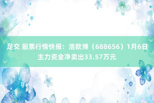 足交 股票行情快报：浩欧博（688656）1月6日主力资金净卖出33.57万元