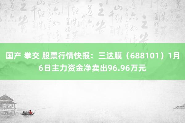 国产 拳交 股票行情快报：三达膜（688101）1月6日主力资金净卖出96.96万元