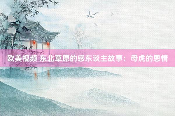 欧美视频 东北草原的感东谈主故事：母虎的恩情