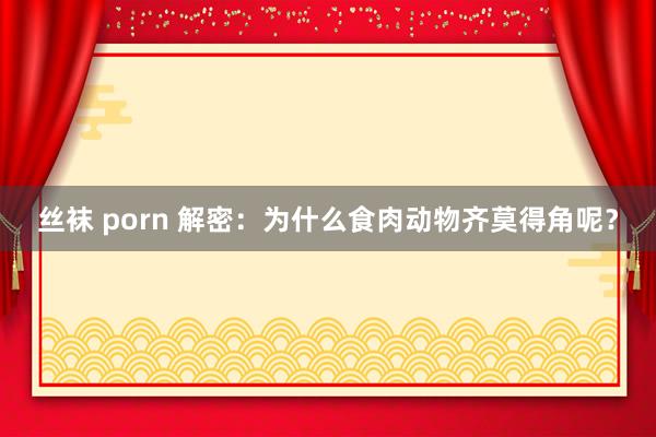 丝袜 porn 解密：为什么食肉动物齐莫得角呢？