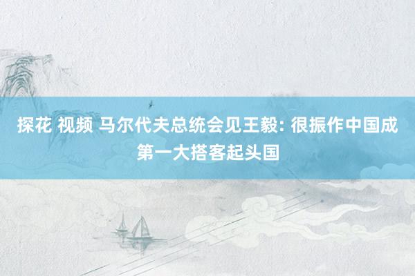 探花 视频 马尔代夫总统会见王毅: 很振作中国成第一大搭客起头国