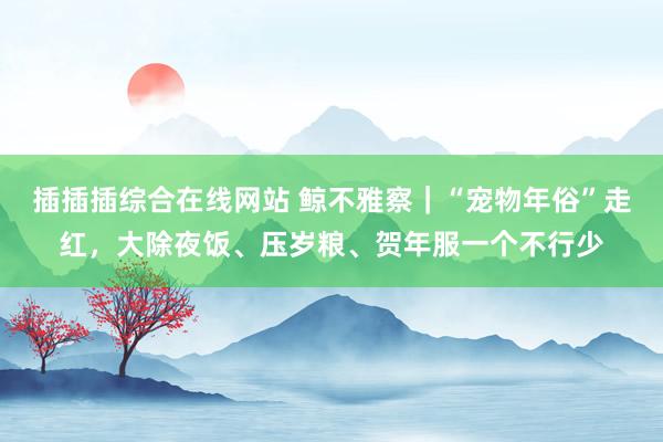 插插插综合在线网站 鲸不雅察｜“宠物年俗”走红，大除夜饭、压岁粮、贺年服一个不行少