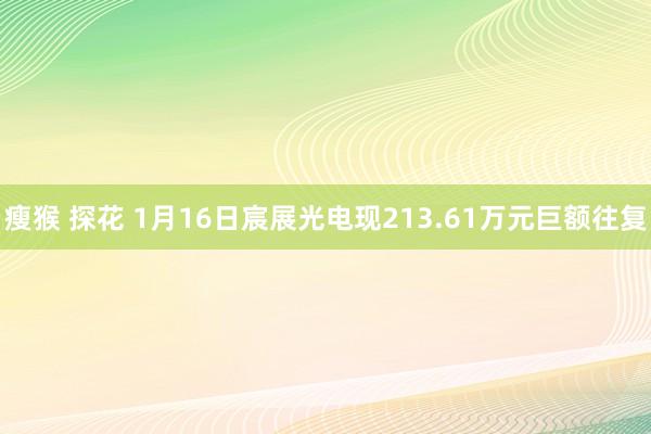 瘦猴 探花 1月16日宸展光电现213.61万元巨额往复
