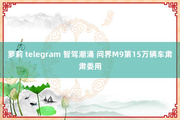 萝莉 telegram 智驾潮涌 问界M9第15万辆车肃肃委用