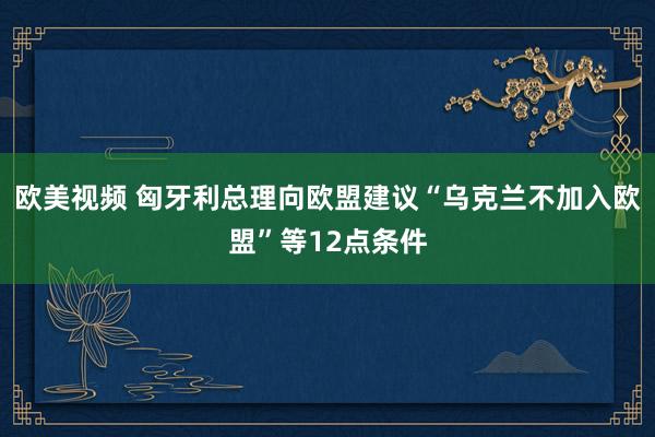 欧美视频 匈牙利总理向欧盟建议“乌克兰不加入欧盟”等12点条件