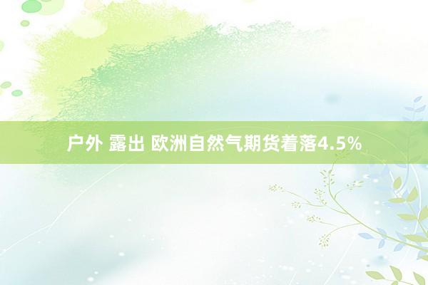 户外 露出 欧洲自然气期货着落4.5%