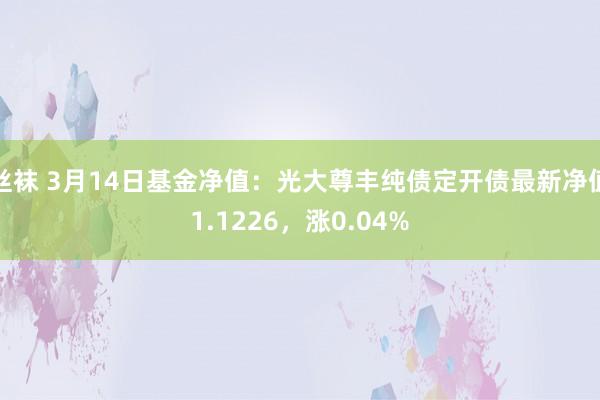 丝袜 3月14日基金净值：光大尊丰纯债定开债最新净值1.1226，涨0.04%