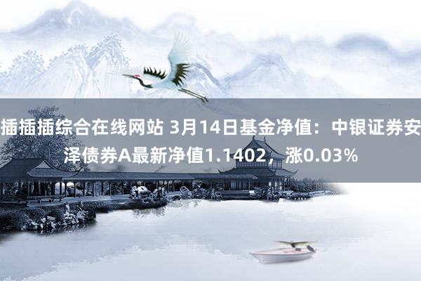 插插插综合在线网站 3月14日基金净值：中银证券安泽债券A最新净值1.1402，涨0.03%