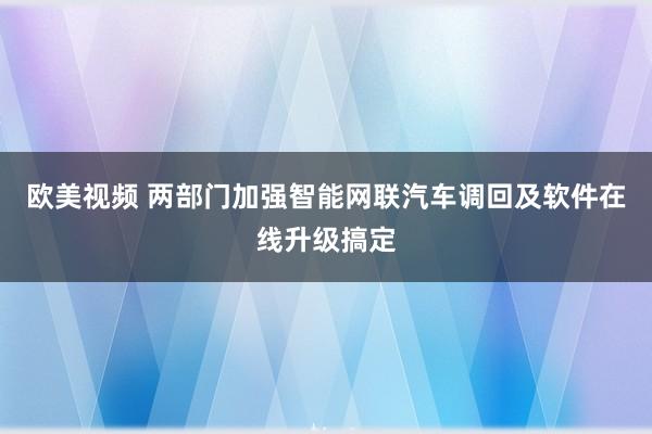 欧美视频 两部门加强智能网联汽车调回及软件在线升级搞定