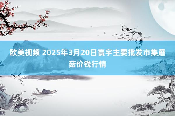 欧美视频 2025年3月20日寰宇主要批发市集蘑菇价钱行情