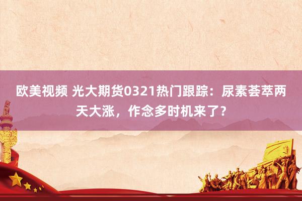 欧美视频 光大期货0321热门跟踪：尿素荟萃两天大涨，作念多时机来了？