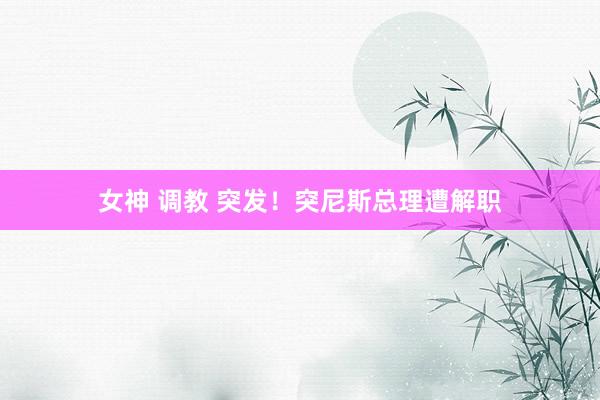 女神 调教 突发！突尼斯总理遭解职