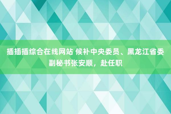 插插插综合在线网站 候补中央委员、黑龙江省委副秘书张安顺，赴任职