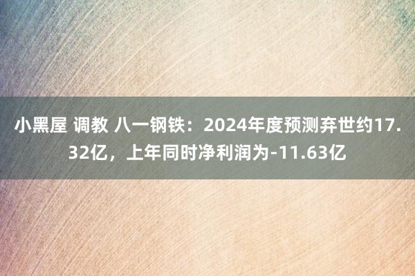 小黑屋 调教 八一钢铁：2024年度预测弃世约17.32亿，上年同时净利润为-11.63亿
