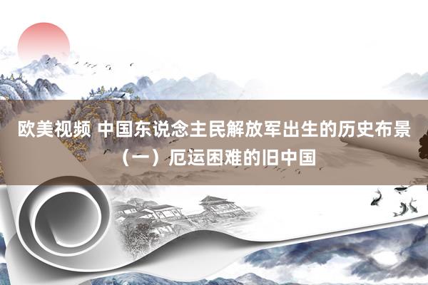 欧美视频 中国东说念主民解放军出生的历史布景（一）厄运困难的旧中国