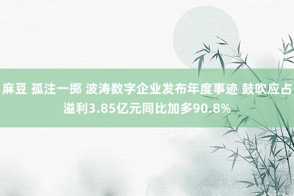 麻豆 孤注一掷 波涛数字企业发布年度事迹 鼓吹应占溢利3.85亿元同比加多90.8%