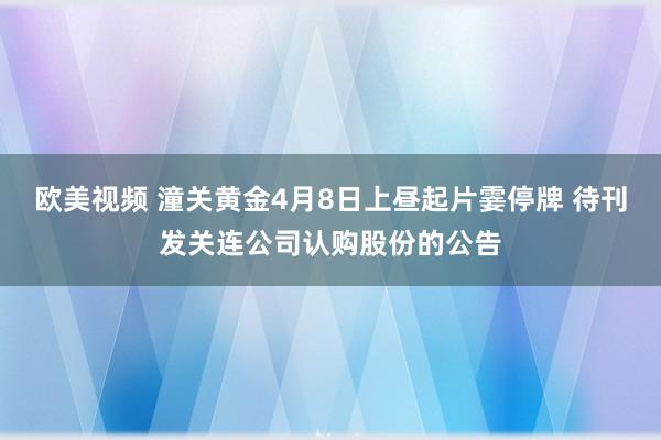 欧美视频 潼关黄金4月8日上昼起片霎停牌 待刊发关连公司认购股份的公告