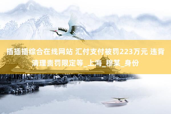插插插综合在线网站 汇付支付被罚223万元 违背清理责罚限定等_上海_穆某_身份