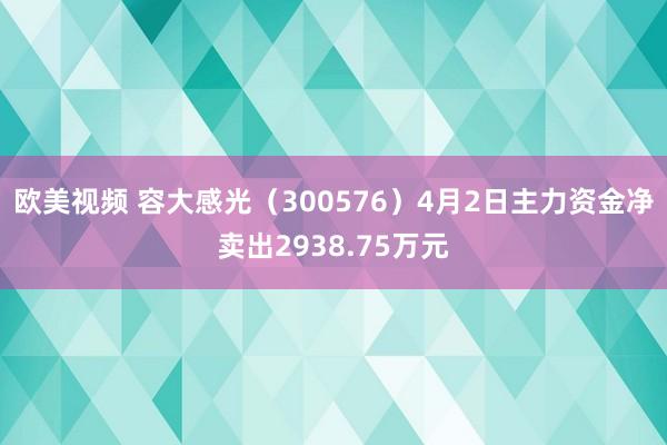 欧美视频 容大感光（300576）4月2日主力资金净卖出2938.75万元