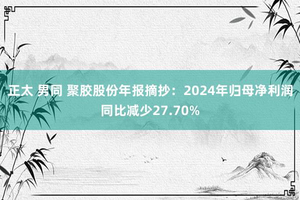 正太 男同 聚胶股份年报摘抄：2024年归母净利润同比减少27.70%