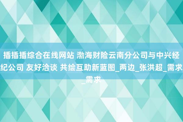 插插插综合在线网站 渤海财险云南分公司与中兴经纪公司 友好洽谈 共绘互助新蓝图_两边_张洪超_需求