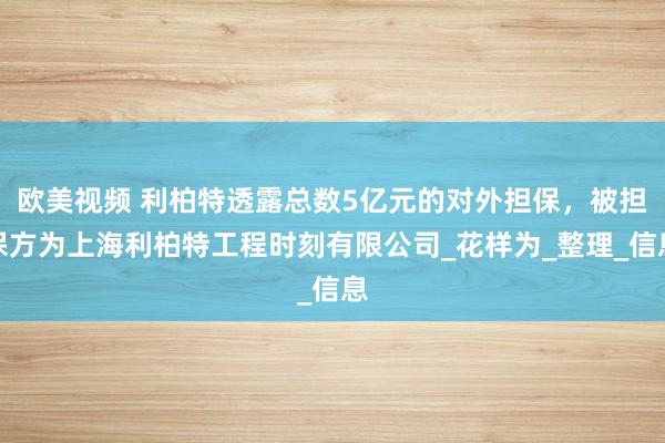 欧美视频 利柏特透露总数5亿元的对外担保，被担保方为上海利柏特工程时刻有限公司_花样为_整理_信息