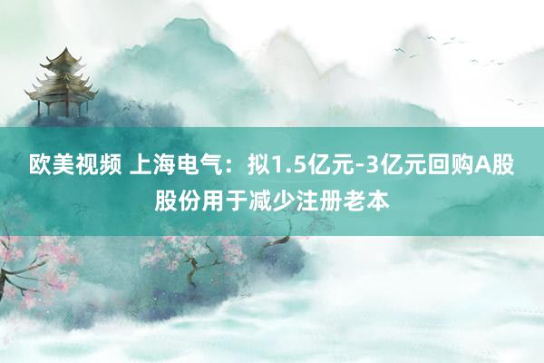 欧美视频 上海电气：拟1.5亿元-3亿元回购A股股份用于减少注册老本